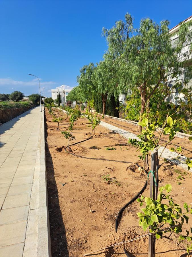 Carme At The Beach - Mythical Sands Paralimni Exterior foto