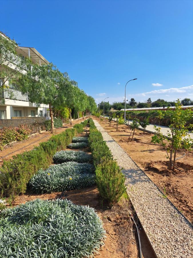 Carme At The Beach - Mythical Sands Paralimni Exterior foto
